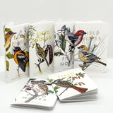 Field Notes Birds and Trees of North America Pack B Memo Book (Limited Edition)