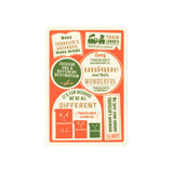 Traveler's Notebook Passport Refill 2027 Plastic  Sheet (*Pre-Order for October 19th*)